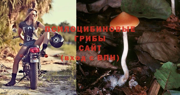 ешки Ладушкин