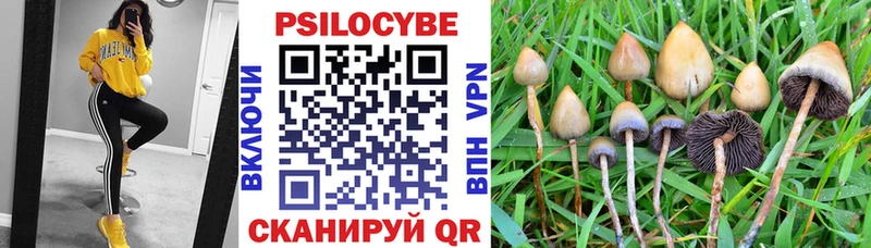 где купить наркоту  Торопец  hydra ссылка  Псилоцибиновые грибы MAGIC MUSHROOMS 